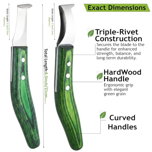 2-Piece Loop & Hoof Knife Set, J2 Stainless Steel