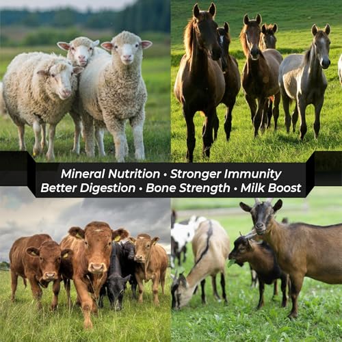 Himalayan Pink Salt Licks for Animals – Natural Salt Block with Rope for Horses, Cows, Deer & More – No Harmful Elements - Approximately 9 lbs (Pack of 2)