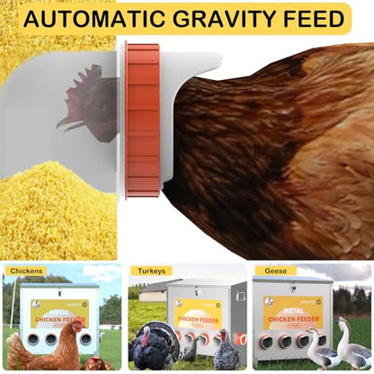 Automatic Chicken Feeder No Waste Metal Poultry Feeder Large Capacity 85 lbs for Chickens, Geese, Ducks, Turkeys, Quails (6-Port) - size: 6-Port