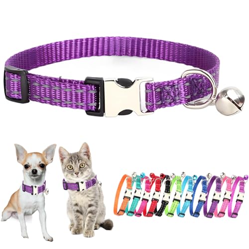 Dark Purple XS Dog Collar with Bell Puppy Collars Bells Cat Small Collar - color: Dark Purple