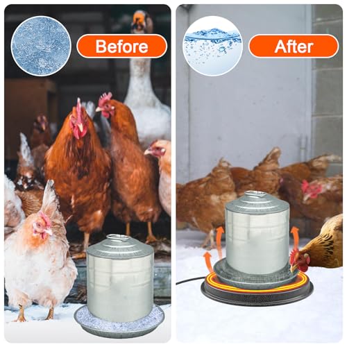 62W Metal Chicken Water Heater for Winter, 11'' Thermostat Chicken Waterer Heater Base for 1-5 Gallon Metal or Plastic Poultry Waterer, Outdoor Weatherproof Poultry Water Heaters for Turkey Goose Duck