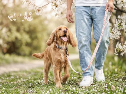 Tuff Pupper Premium Adjustable Dog Collar, Stylish Pattern Collars Designed in USA, Quick Release Buckle, Petal Blush Small (0.7 Inch Wide x 8-12 Inch Neck) - color: Petal Blush, size: Small