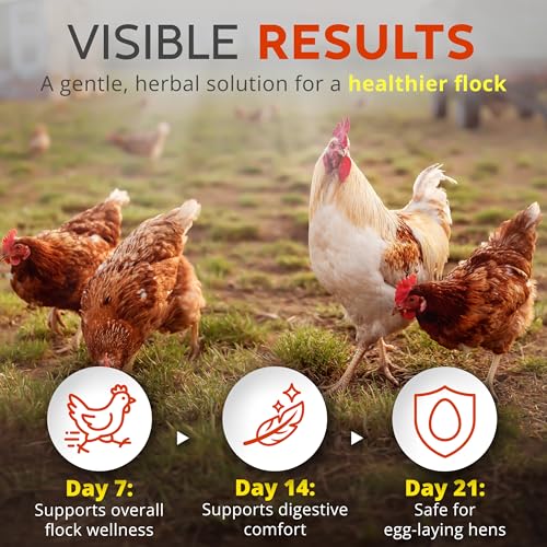 Buff Clucks WormStop Natural Chicken Dewormer Powder – All-Natural Herbal Blend for Daily Wellness - Chicken Wormer is Safe for Eggs & All Ages - Garlic, Pumpkin Seed, Wormwood - USA (8 oz)