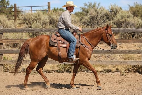 CHALLENGER Horse Saddle Stirrups Western Lightweight Aluminum Angled Engraved Standing Horse Cut-Out Stirrups 51216