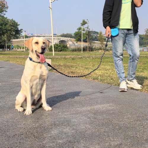 ZALER Rope Dog Leash, 4/5/6/10/15/20/30/50 Foot Reflective Dog Leashes with Carabiner, Heavy Duty Pet Lead for Large and Medium Dogs (6FT, Black) - color: Black, size: 6FT*1/2"
