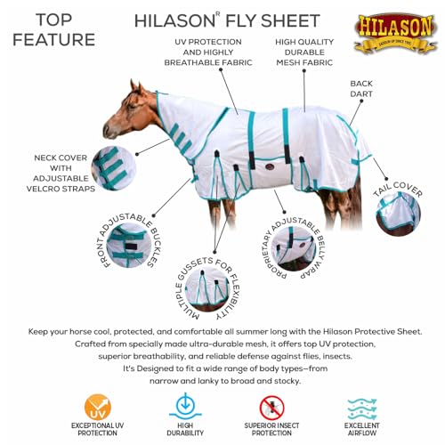HILASON Horse Fly Sheet Breathable Mesh UV Protection Mosquito Bug Summer - color: Zebra with turquoise piping, size: 81 In
