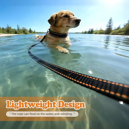 Long Dog Leash for Small Dogs and Medium Dogs, 100ft Orange Nylon Dog Training Leash with Swivel Clip, Lightweight Dog Lead for Puppy, Recall Training, Outdoor Walking & Hiking - size: 100FT