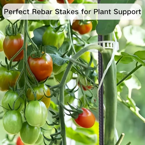 Rebar Stakes 16 Inch Straight Concrete Form Stakes 34 Pack - size: 16"-Φ3/8"-34pcs
