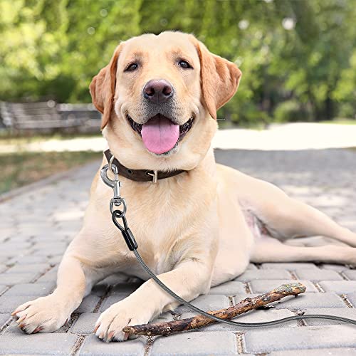 BV Dog Tie Out Cable 25 Feet - Heavy Duty Dog Lead Up to 250 Pounds - Reflective & Rust-Free with Quick Release Swivel Clips & 360° Rotating Clasp - Tangle-Free Dogs Runner for Yard (Grey, Single) - color: 250lbs/ 25ft/ Grey, style: Single