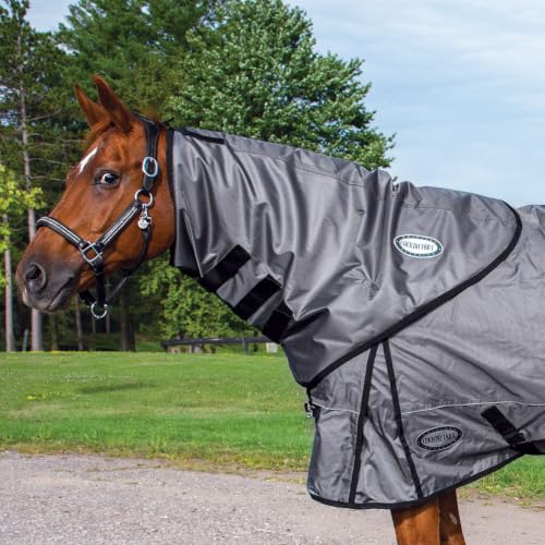 Country Pride Arctic Shield Heavyweight Neck Cover, 300g Insulated Turnout Blanket Accessory, Durable 1680D Cordura Outer Shell, Soft Nylon Lining, Cold Winter Weather Horse Protection (X-Large) - size: X-Large
