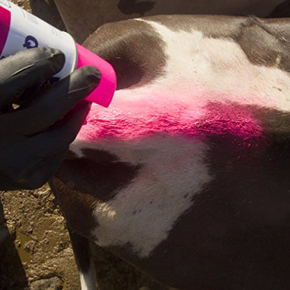 All-Weather 61192 Quik Shot Upright Spray Paint for Livestock Marking, Red - color: Red, style: Upright