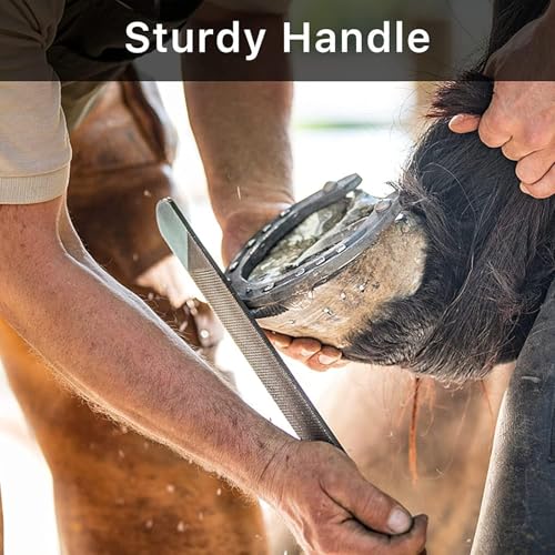 T12 Carbon Steel Horse Hoof Rasp - 8", 14" Professional Farrier Tool with Non-Slip Rubber Handle for Horse/Goat/Cow/Donkey/Animal Hooves (14 inch) - color: 14 inch