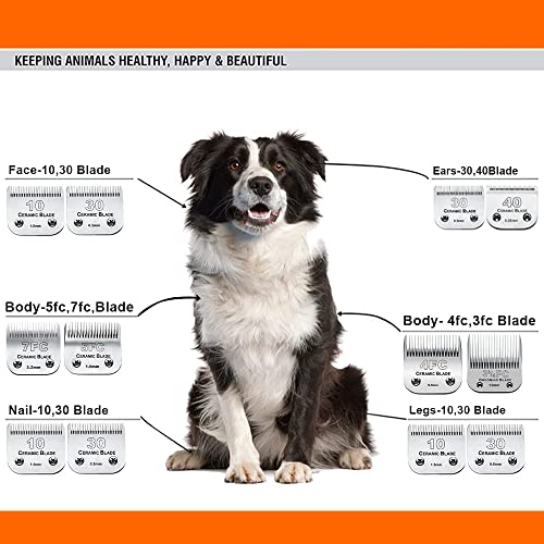 10 Blade Dog Grooming Clipper Blades Compatible with Andis Dog Clippers - color: 10:1/16''(1.5mm)
