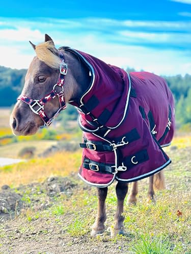 Mini-Pony Horse Ripstop Waterproof Windproof Blanket Hooded Lightweight Turnout Rain Sheet Breathable Lining 1200 Denier Material 350 Fill(38-40", Raspberry) - color: Raspberry, size: 38-40"