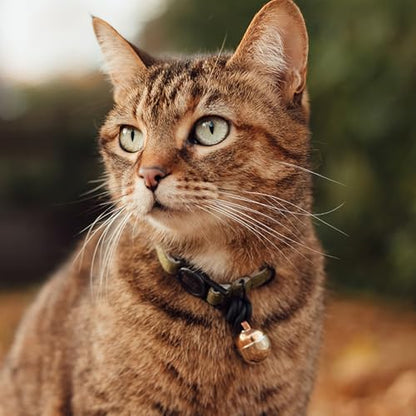 Beau's Bells V2 | Cat & Dog Collar Bells with New Quick Loop Easy Release Clip | Handmade Copper | Track Your Pet | Protect Wildlife - size: Small