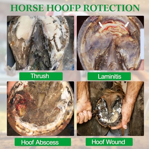 Aliceset 30 Pack Horse Hoof Tape with 6 Rolls Vet Wrap Bandage, Orange - color: Orange