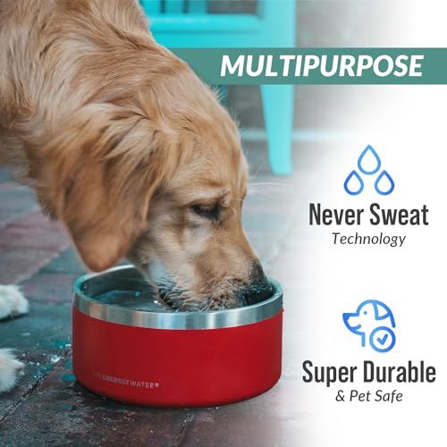 Coldest Dog Bowl - Anti Rust Metal, Non Slip, 3 Layers Insulated Stainless Steel Dog Bowls - Spill Proof & Heavy Duty - Water Bowl for Dogs, Cats & Pets, Dish Washer Safe (21 oz, Celestial Blue) - color: Celestial Blue, size: 21 oz