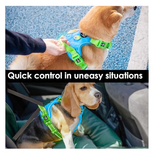 PHOEPET No Pull Dog Harness, Unique Colors Reflective Adjustable Dog Vest - color: Blue Base & Green Straps, size: Small