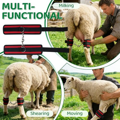 Goat Milking Hobbles Binding Straps,for Milking,Shearing 2 Pack,RED | Nylon Goat Binding Tool for Goat Mini Goat Nigerian Dwarfs Nubian Goats (Red)