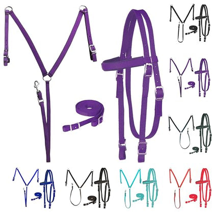 Majestic Ally Nylon Padded Equestrian Browband Headstall, Reins & BreastCollar Set for Horse- Full - color: Purple