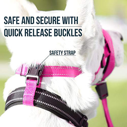 GoodBoy Dog Head Halter with Safety Strap - Stops Heavy Pulling On The Leash - Padded Headcollar for Small Medium and Large Dog Sizes - Head Collar Training Guide Included (Size 2, Pink Nylon) - color: Pink Nylon / Black Padding, size: Size 2 (Pack of 1)
