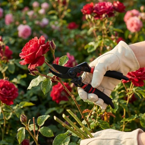 Ultra Sharp Germany Titanium Steel Pruning Shears - Cuts 3X Easier - style: Bypass