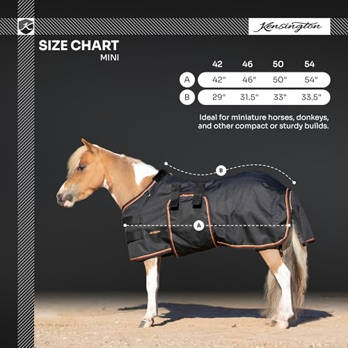 Kensington Mini Horse Turnout Blanket with Belly Band - (80g Fill) Lightweight - 1200D Ripstop - Waterproof, Breathable - Winter Protection for Miniatures 80G 54" (Navy)