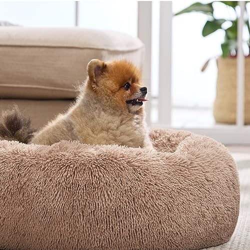 Bedsure Calming Cat Beds Donut Round Washable Kitten Bed,20 inches Camel | Oprah Daily Award,Fluffy Faux Fur Cuddler,Anti-Slip Bottom,Anti-Anxiety,Deep Sleep for Cats&Small Pets Up to 15 Lbs - color: Camel, size: 20"L x 20"W x 6"Th