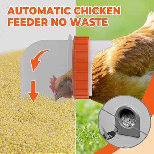 6 Port Automatic Chicken Feeder, No Waste Poultry Feeder with Lid - size: 6 Ports (85-120 LBS)