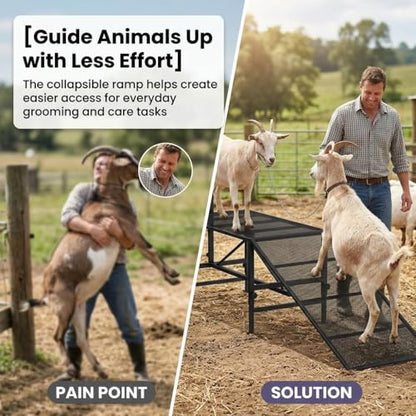 53x26"Goat Sheep Stand with Removable Ramp & Feed Tray, 1000LBS Livestock Trimming Stand, Adjustable Height for Milking Shearing Hoof Care Metal Construction
