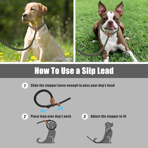 Mile High Life Heavy Duty Slip Lead No Pull Leash w Leather-Reinforced Ends - color: Drak Green, size: 4 Feet