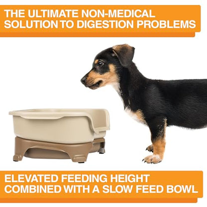 Neater Feeder Express Mess Proof Dog Bowls Elevated for Small Breeds Under 15 Lb, Made in USA, No Spill Raised Dog Food Bowl Stand, Stainless Steel Slow Feed and Standard Water Bowl Set, Cappuccino - color: Cappuccino, size: Small w/ Metal Slow Feed Bowl