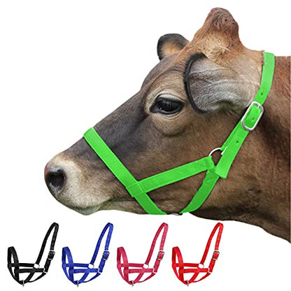 Derby Originals Adjustable Nylon Livestock Cattle Halters - color: lime green, size: Medium (500-800lbs)