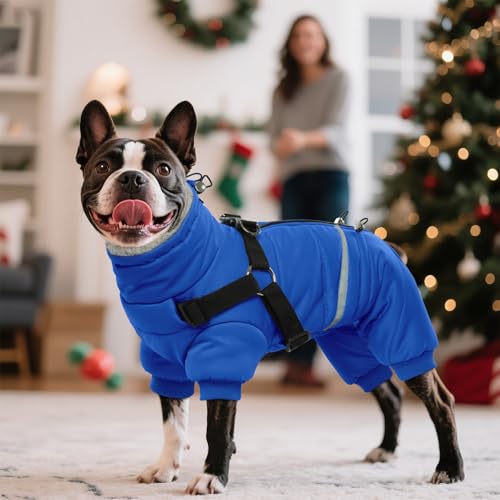 BRKURLEG Blue Dog Winter Coat, Cozy Winter Dog Jackets, Small Dogs Coat with Harness, Onesie Body Warm Puppy Christmas Jacket, Pet Reflective Cold Weather Jackets, Puppy Four-Legged Puffer Coats, M - color: Blue, size: Medium