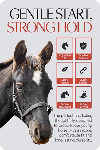 HORZE Adjustable Mini Horse Halter, Nylon Design for Foals, Colts, Fillies - color: Black