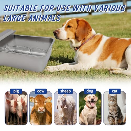 6 Gal Automatic Large Dog Water Dispenser Livestock Water Trough Stainless Steel Waterer Feeder Outdoor Automatic Pet Water Bowl Large Auto Dog Waterer for Big Dogs Cats Chicken Livestock
