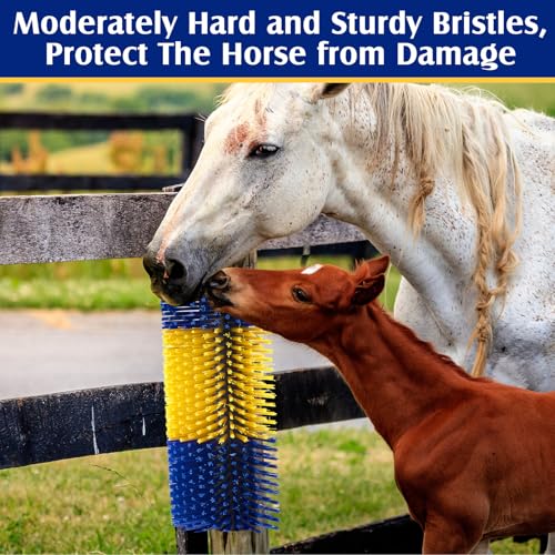 3 Pack Livestock Scratching Brush, Yellow and Blue - color: Yellow and Blue