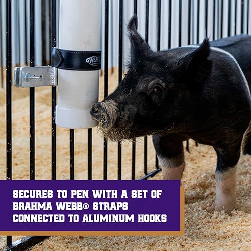 Weaver Livestock Vertical Pig Waterer Kit with Steel Nipples