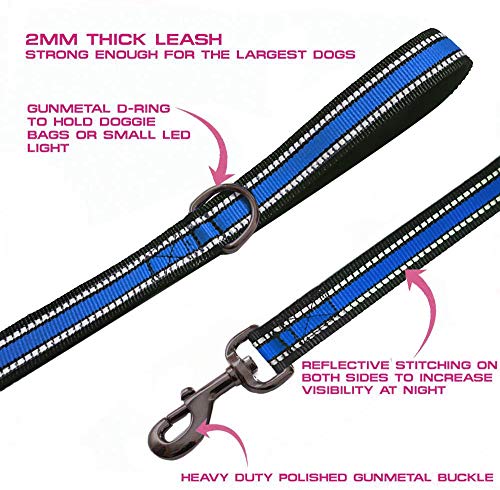 JSXD Heavy Duty Double Handle Dog Leash - 5 FT with Comfortable Padded and Reflective Rope, Suitable for Small, Medium, Large Dogs (Wide-Blue) - color: Wide-Blue
