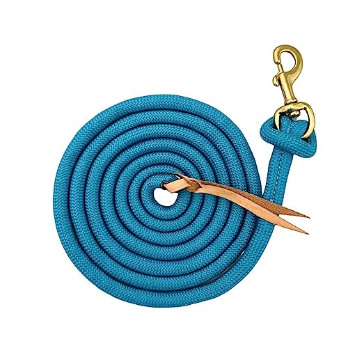 Formay Cowboy Horse Lead Rope 10' x 5/8" Leather Popper Nylon Brass Bolt Snap Green