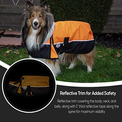 Derby Originals Horse Tough 600D Ripstop Waterproof Reflective Winter Dog Coat 150g Medium Weight, Sky Blue, 22"