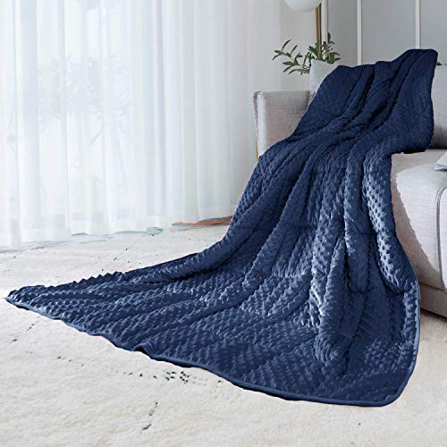ALANSMA Reversible Weighted Blanket for All Season, Luxury Velvet, Warm and Cool, Adult 5Lb Blue Weighted Blanket, Enjoy Sleeping Anywhere(Blue,36"x48" 5lbs) - color: Blue, size: 36''x48'' 5lbs