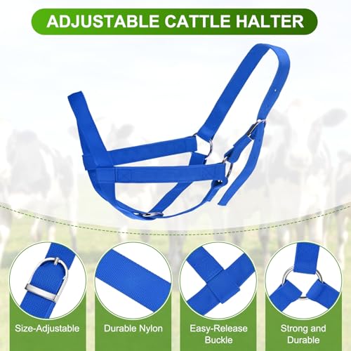 M METERXITY 2-Pack Adjustable Cattle Cow Calf Halter, 15.74"-19.68" Nylon Livestock Cow Halter for Miniature Horse/Donkey/Goat/Cattle [Green/Blue]