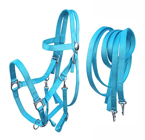 CHALLENGER Cob Size Western English Horse Riding Nylon Halter Bridle Combo Reins Blue 60111SB-C - color: Sky Blue/Cob