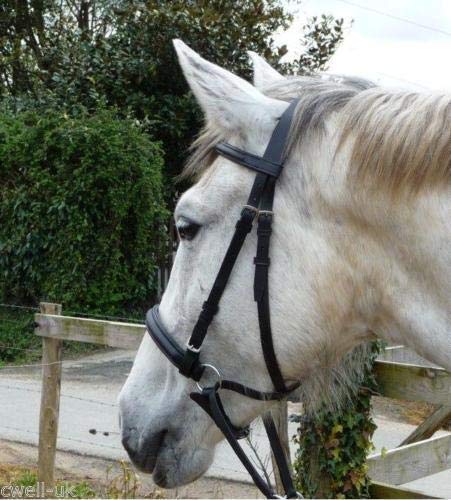 N.Ent New Leather Cross Over Bitless Bridle Bridles with Reins Brown Cob Size English Horse Gift