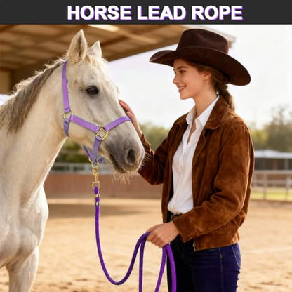 5/8" x 8' Nylon Horse Lead Rope with Cast Iron Hardware(Purple) - color: Purple