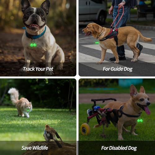 Bells for Dog Collar, Glow Bell for Medium to Large Dogs, Easy Clip Clasp, Extra Loud Pet Tracker & Save Wildlife, Durable Copper Bells (Small-medium breed) - color: Large Breed