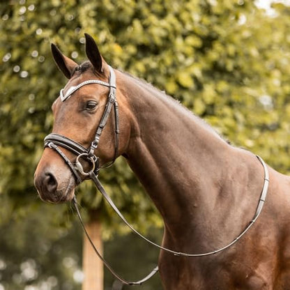 HORZE Grayson Classic Leather Ergonomic Snaffle Dressage Bridle with Detachable Flash - color: Black, size: Pony