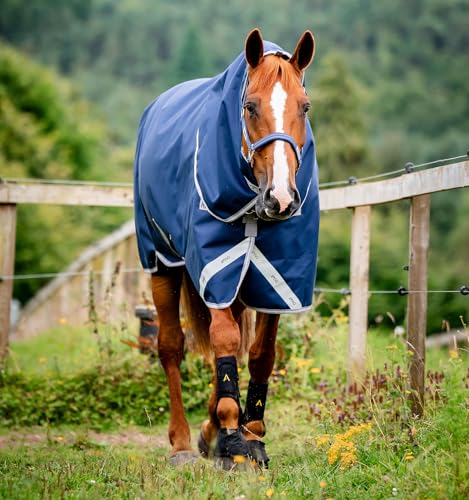 Horseware® Amigo® Bravo 12 Plus Turnout 250g - Navy/Titanium Grey & Silver, 72 inches - color: Navy/Titanium Grey & Silver, size: 72 inches