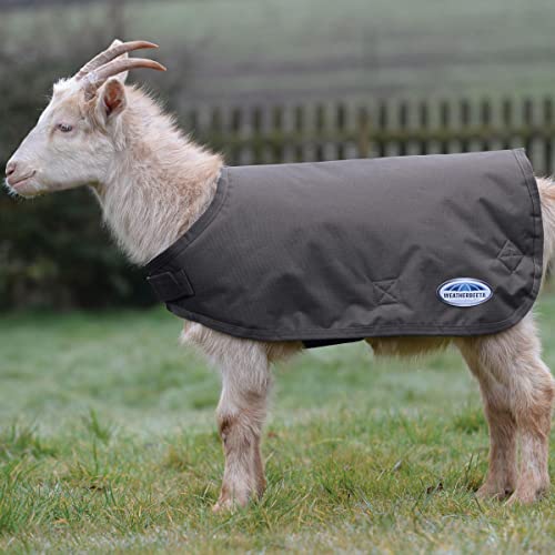 WeatherBeeta Goat Coat, Grey, 2extra Large - color: Grey, size: XXL